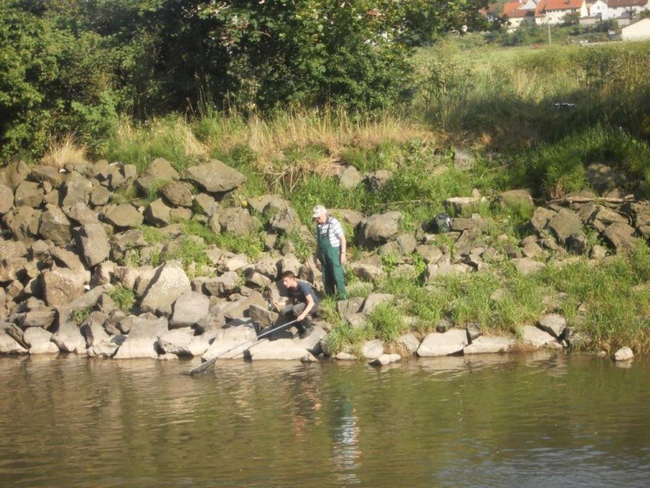 Ferienhof "Die Schenkenau" Bodelstadt Dış mekan fotoğraf
